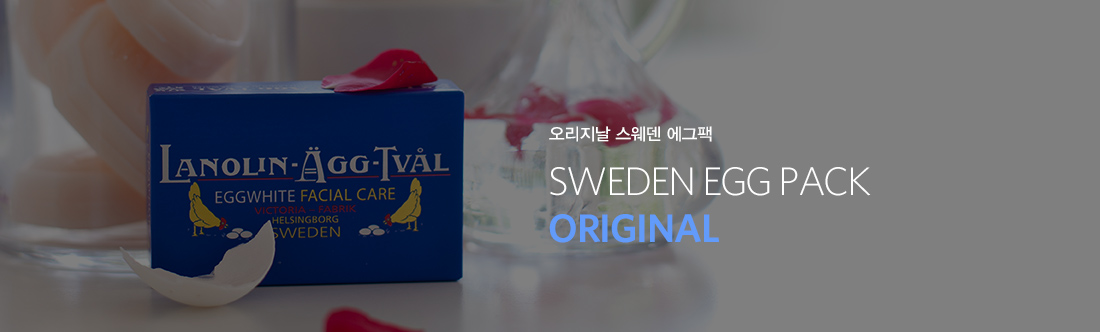 상단타이틀
